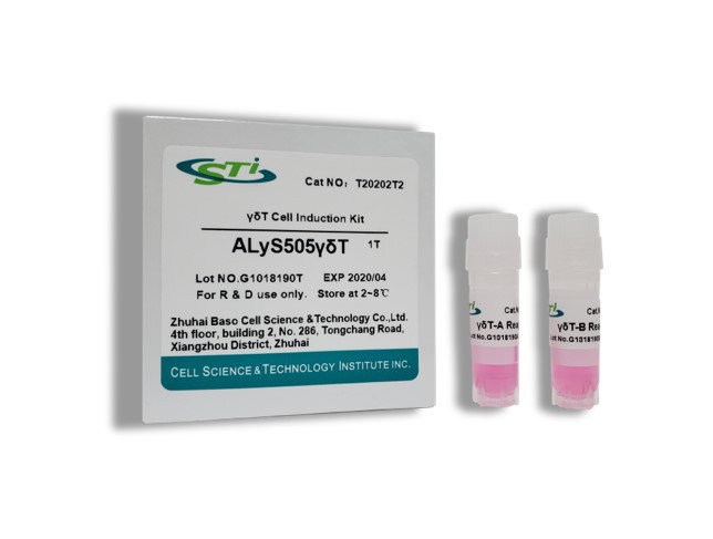 �æ�T Cell Induction Kit ԇ����